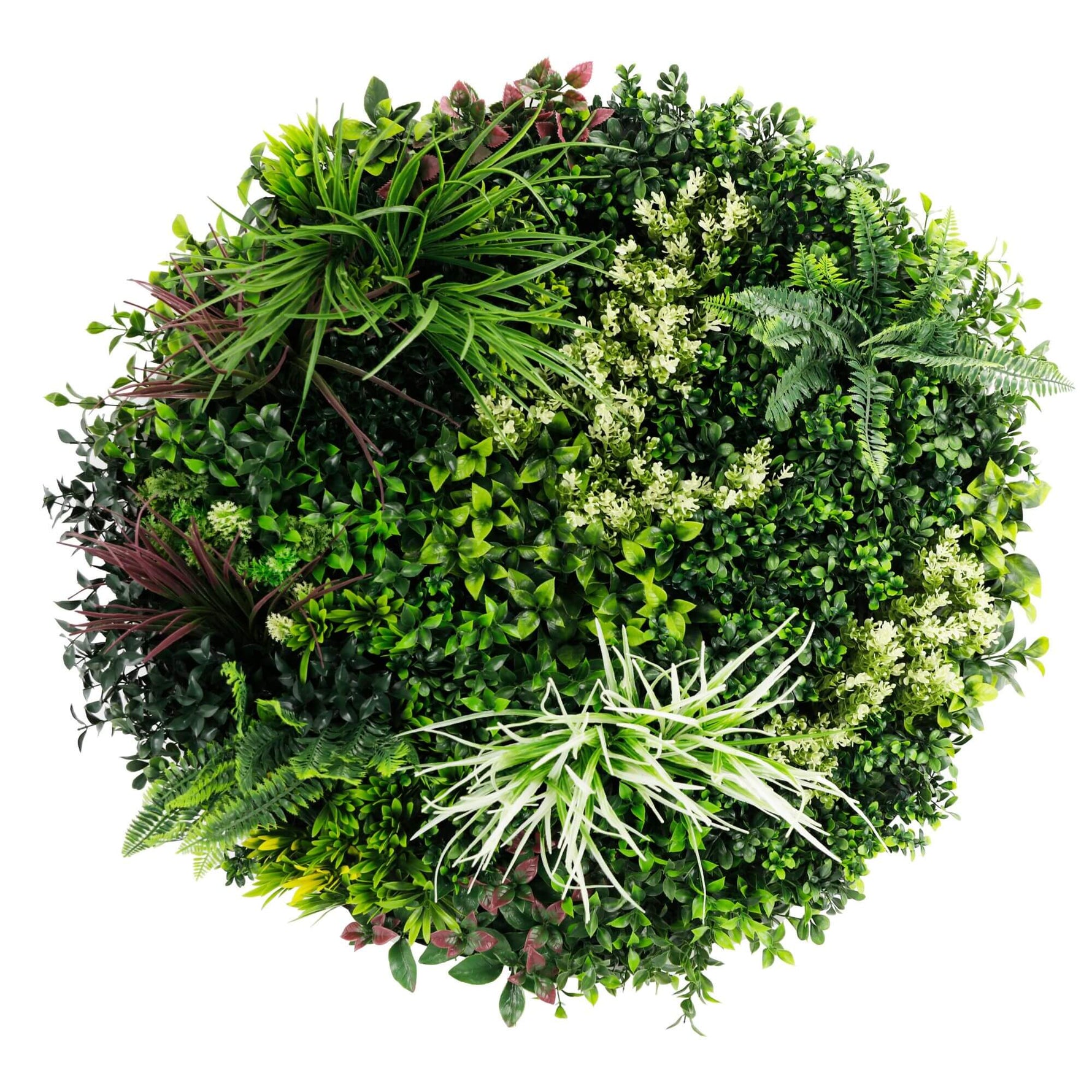 Artificial green wall with various types of plants on a white background