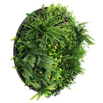 Round artificial green wall with various plants on a white background