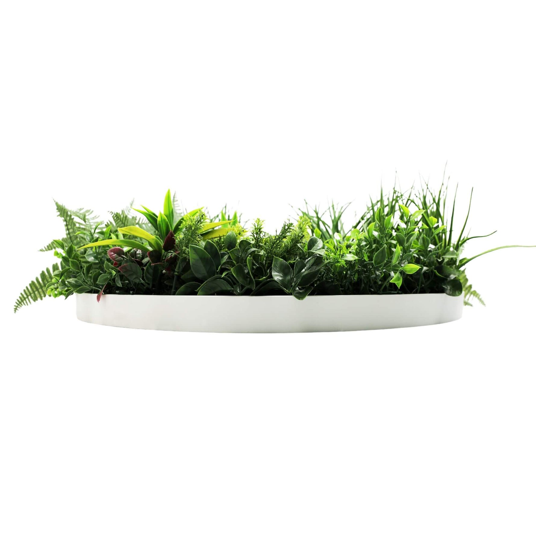 Artificial greenery in a white planter on a white background