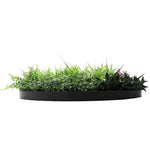 Artificial green grass in a black planter on a white background