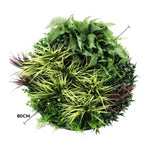 Artificial greenery ball with dimensions on a white background