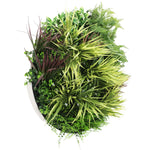 Artificial green plant ball with various types of foliage on a white background