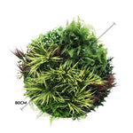 Artificial green sphere with various types of plants, 80cm in diameter, on a white background.