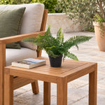 Small Potted Artificial Dark Green Fern Plant UV Resistant 20cm - Designer Vertical Gardens Artificial Shrubs and Small plants Artificial Trees