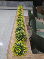 Long wooden table with green leafy plants arranged in a row, surrounded by green chairs in a room.