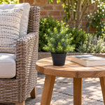 Small Potted Artificial Native Grass Plant UV Resistant 20cm - Designer Vertical Gardens Artificial Shrubs and Small plants Artificial Trees