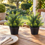 Small Potted Artificial Native Grass Plant UV Resistant 20cm - Designer Vertical Gardens Artificial Shrubs and Small plants Artificial Trees