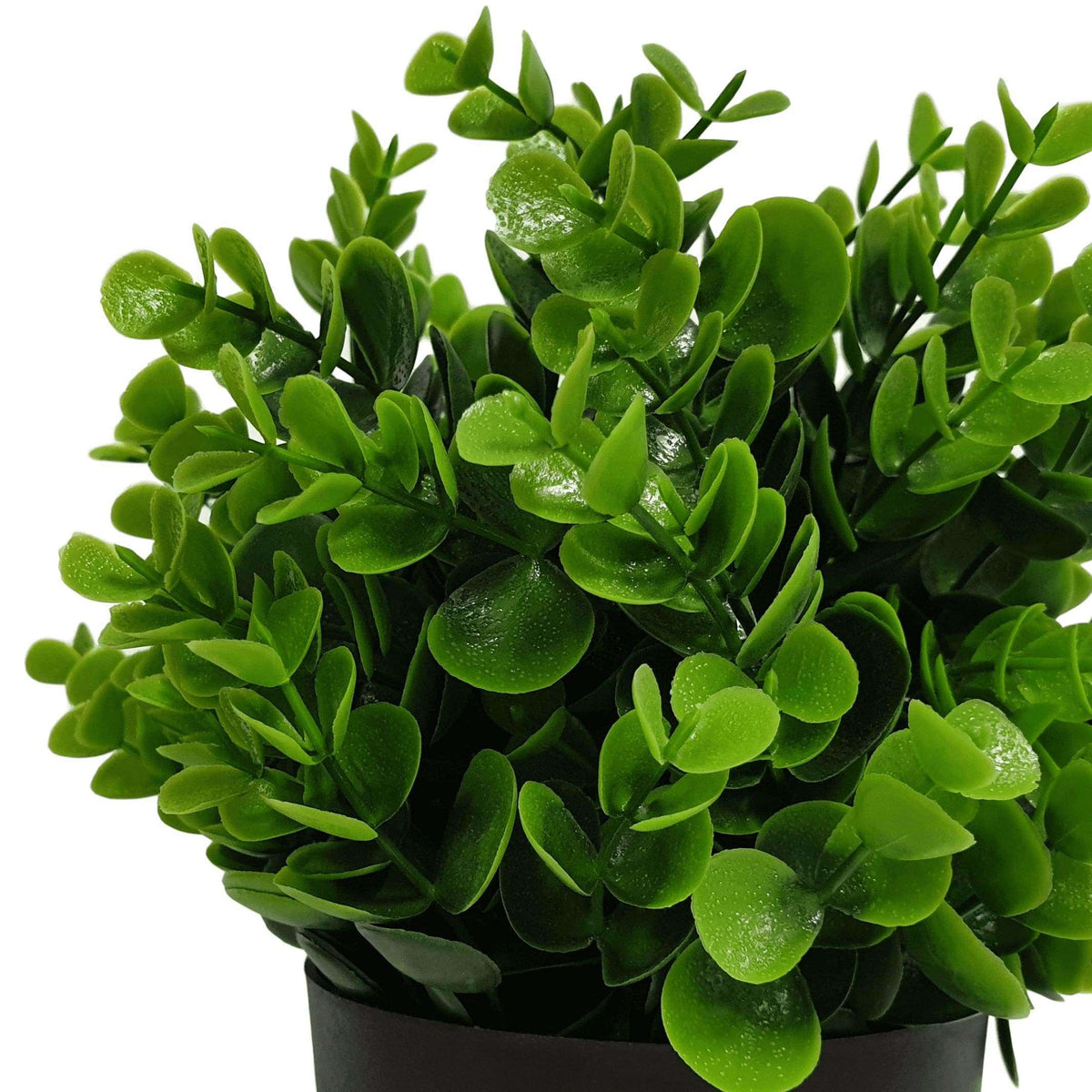 Small Potted Artificial Peperomia Plant UV Resistant 20cm — gallery image
