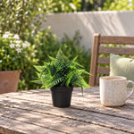 Small Potted Artificial Persa Boston Fern Plant UV Resistant 20cm - Designer Vertical Gardens Artificial Plants in Pots Artificial Shrubs and Small plants
