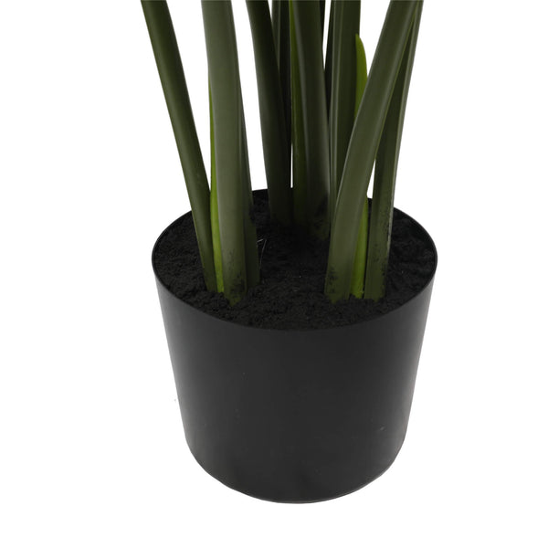 Split Philodendron (Split Leaf) 120cm — gallery image 6