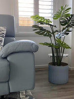 Gray sofa in a living room with a plant next to it