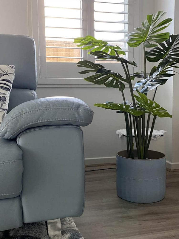 Split Philodendron (Split Leaf) 120cm — gallery image 8