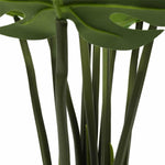 Close-up of green leaves with a white background