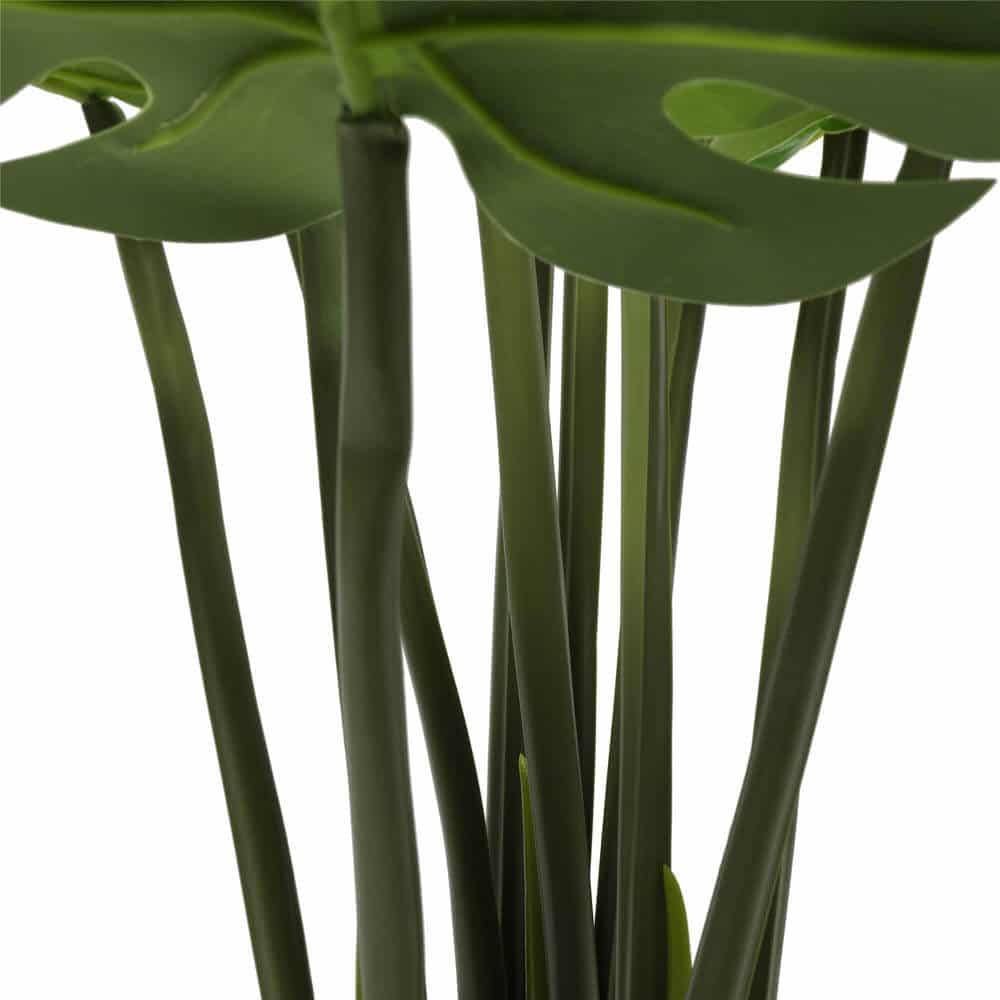 Close-up of green leaves with a white background