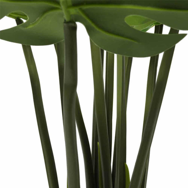 Split Philodendron (Split Leaf) 120cm — gallery image 7