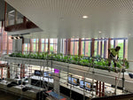 Person cleaning windows in a modern building with greenery
