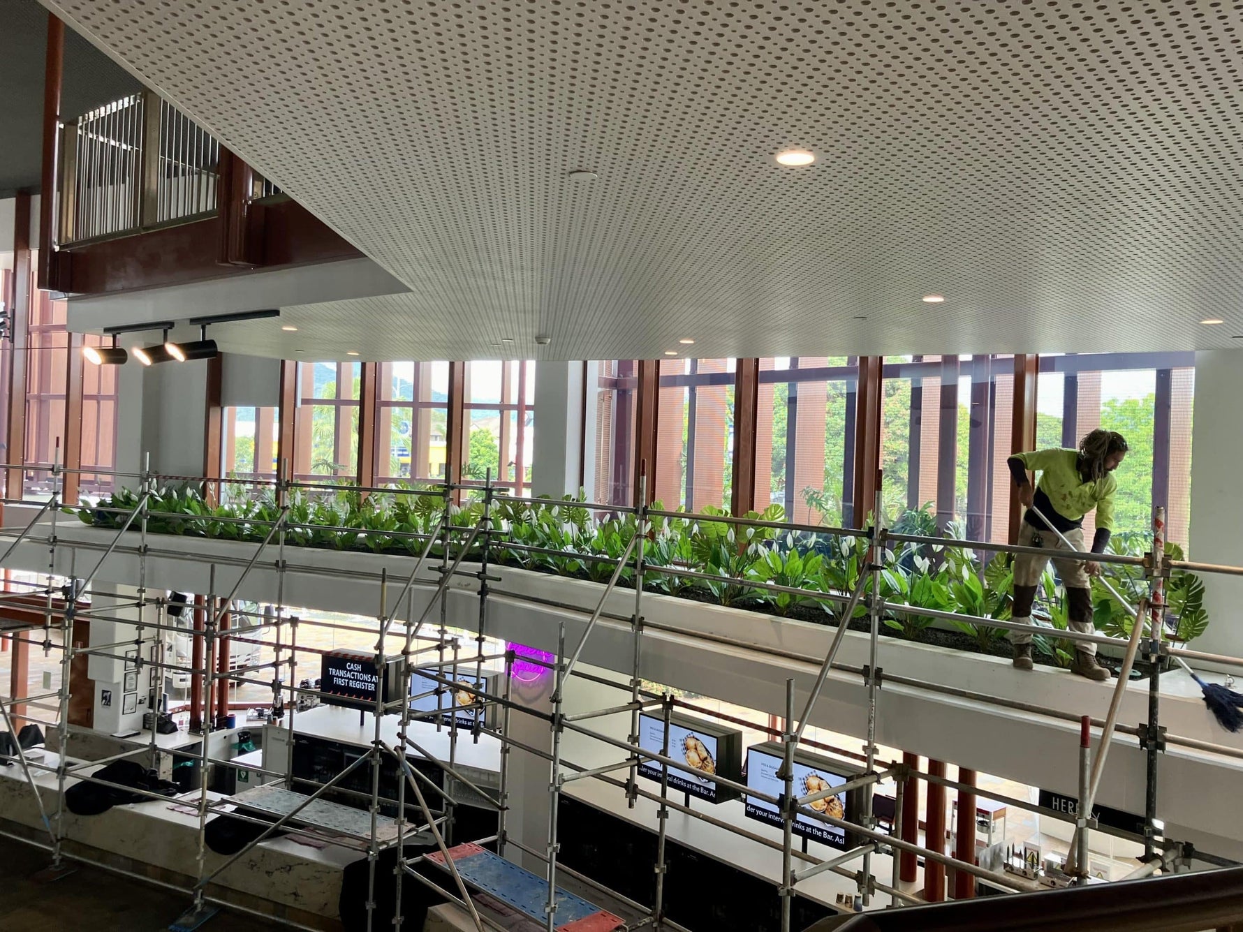 Person cleaning windows in a modern building with greenery