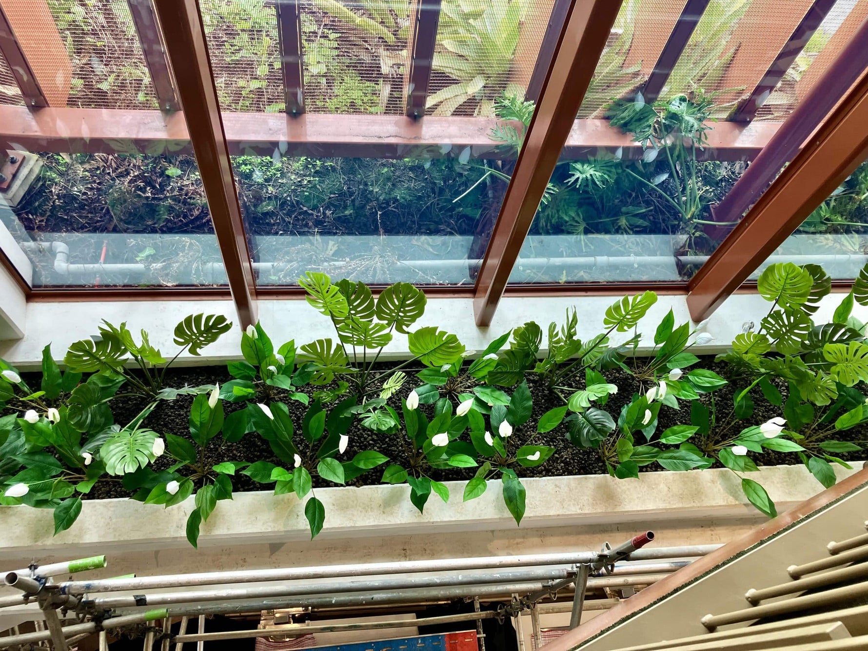 Green plants in a window box with a modern building exterior in the background