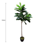 Artificial fiddle leaf fig plant with a measurement label on a white background