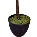 Black pot with a tree trunk and green moss on a white background