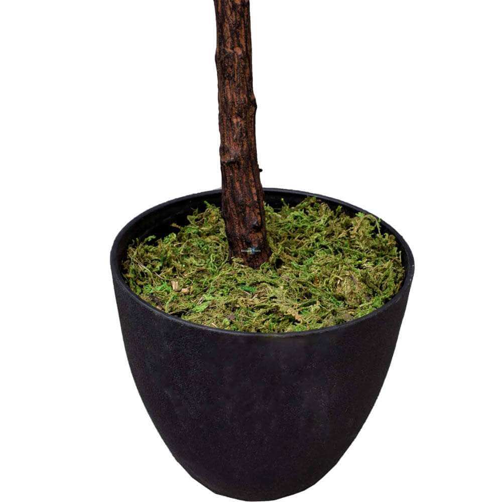 Black pot with a tree trunk and green moss on a white background