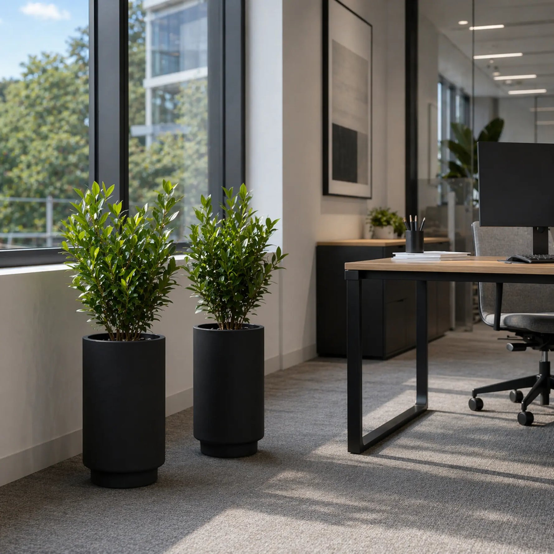 Modern office interior with plants, desk, and office chair.