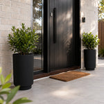 Modern black door with planters on a stone building exterior