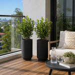 Two potted plants on a wooden deck with a view of a cityscape.