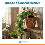 Indoor plants on a wooden shelf with 'Designer Plants' branding.
