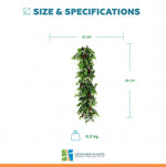 Hanging plant garland with measurements and weight on a white background