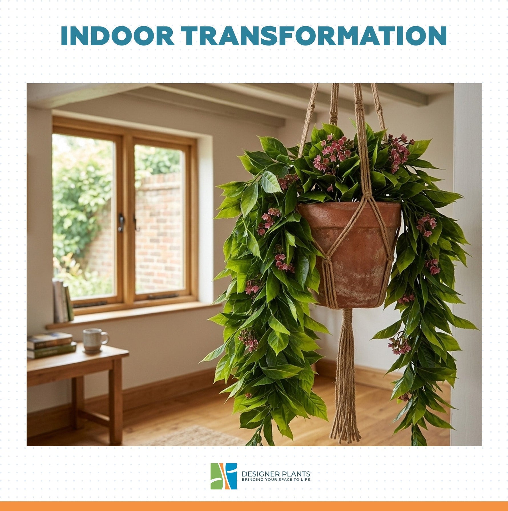 A terracotta hanging planter with a macrame hanger and trailing green foliage, shown in a styled interior room setting. The image includes the text 'INDOOR TRANSFORMATION' at the top and the 'DESIGNER PLANTS' logo at the bottom.