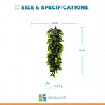 Size and specifications chart for an artificial hanging greenery garland, showing a 20 cm width, 55 cm length, and 0.3 kg weight on a white grid background with Designer Plants branding.