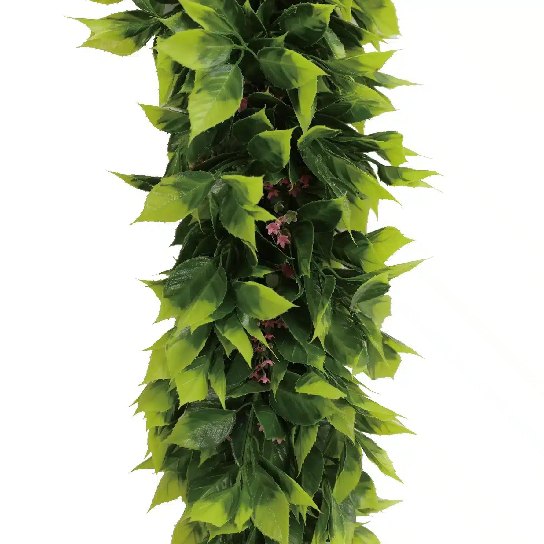 Artificial green leaf garland on a white background