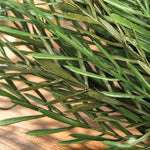 Close-up of a green artificial grass or pine-like decorative plant with long narrow leaves, photographed on a wooden surface.