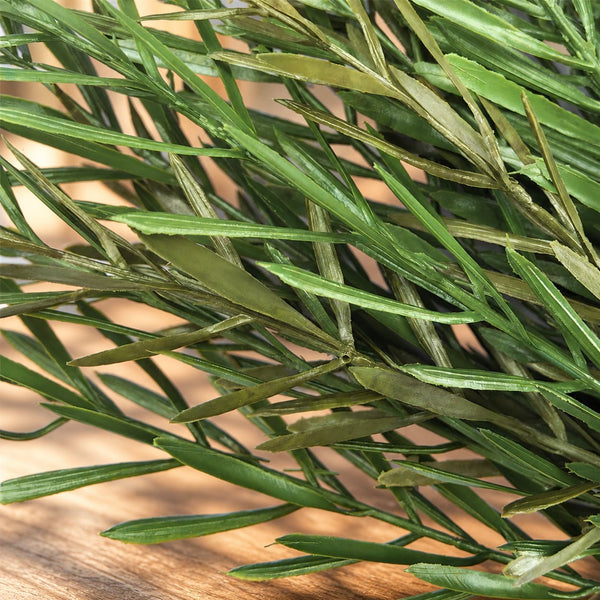 UV Native Tea Tree Stem - 40cm — gallery image 5