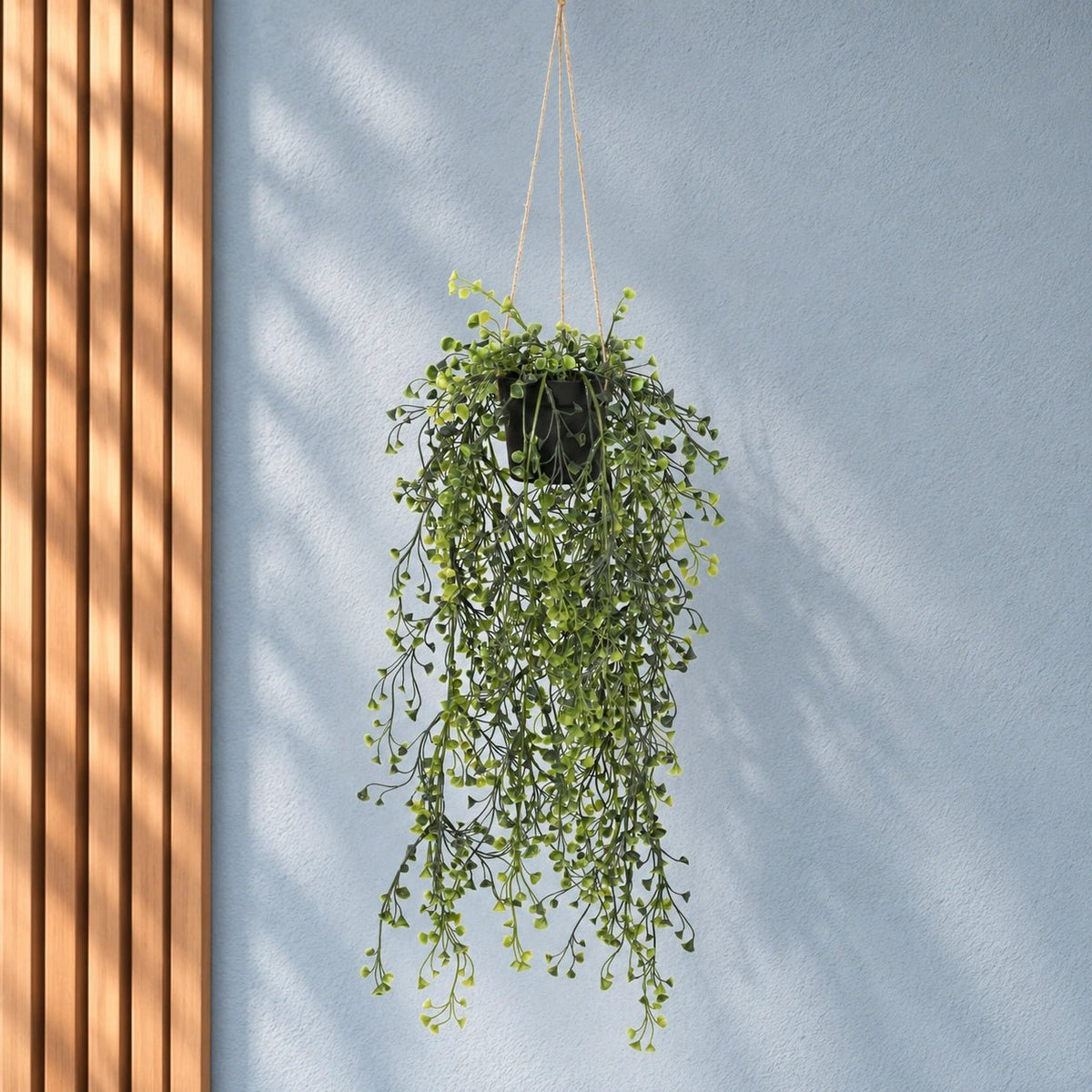 UV Resistant Artificial Hanging Pearls - 56cm Potted String of Pearls - Designer Vertical Gardens balcony decor hanging fern