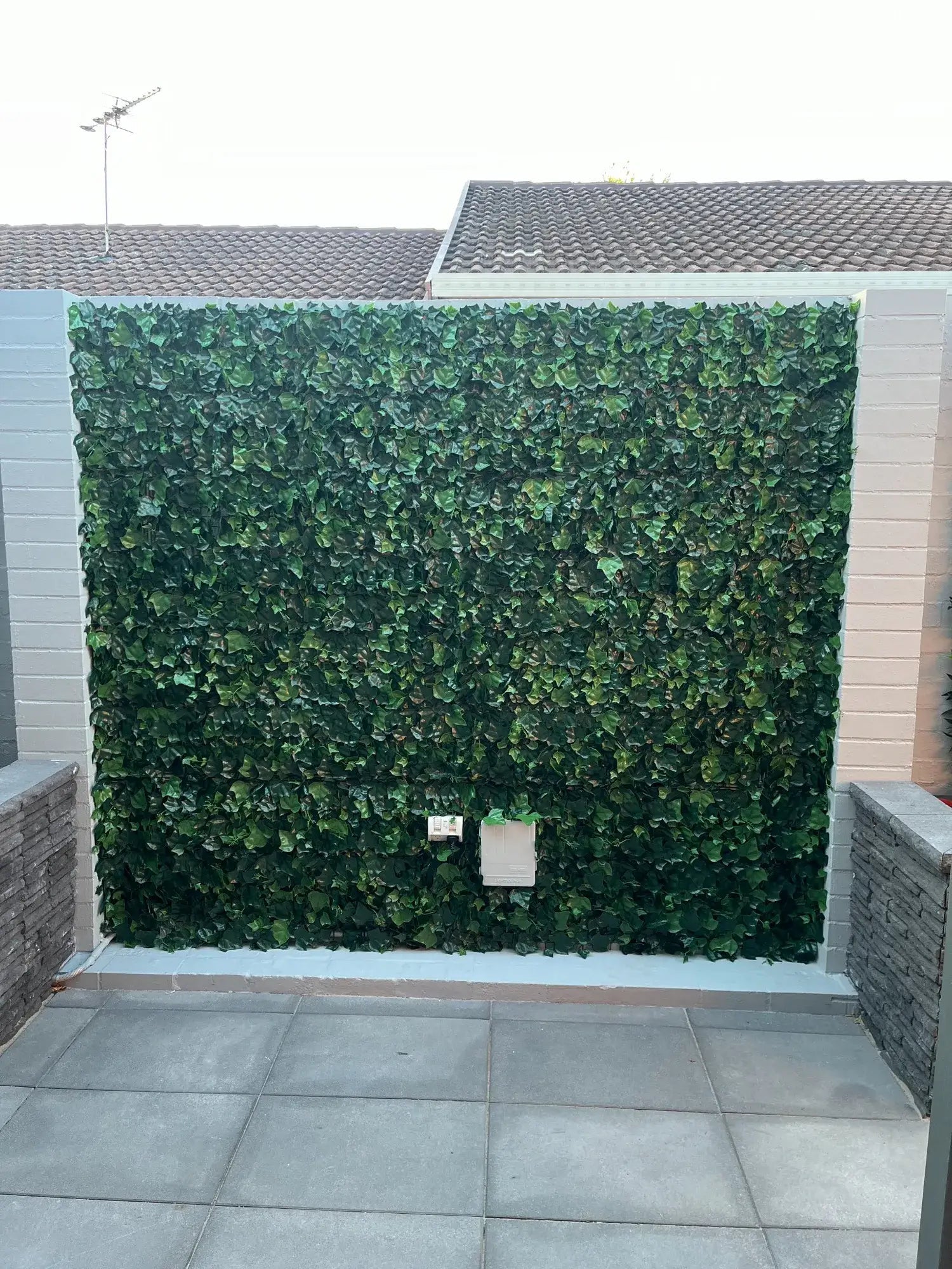 Variegated Boston Ivy Leaf Screen Green Wall Panel UV Resistant 1m X 1m (Solid Backing) - Designer Vertical Gardens artificial green walls for backdrops artificial green walls for events