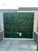 Variegated Boston Ivy Leaf Screen Green Wall Panel UV Resistant 1m X 1m (Solid Backing) - Designer Vertical Gardens artificial green walls for backdrops artificial green walls for events