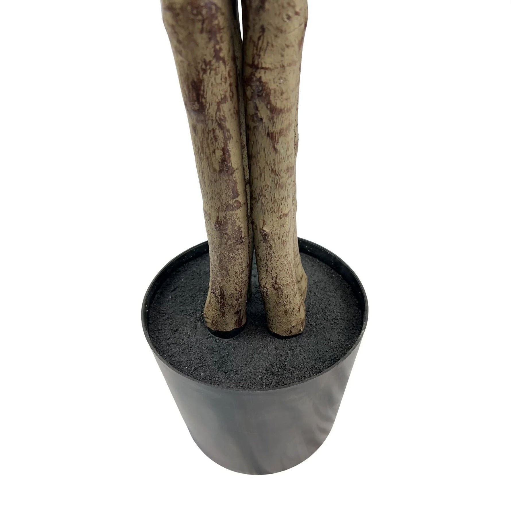 Very Beautiful Artificial Ficus Tree with UV Resistance 180cm - Designer Vertical Gardens Artificial Ficus artificial Ficus tree