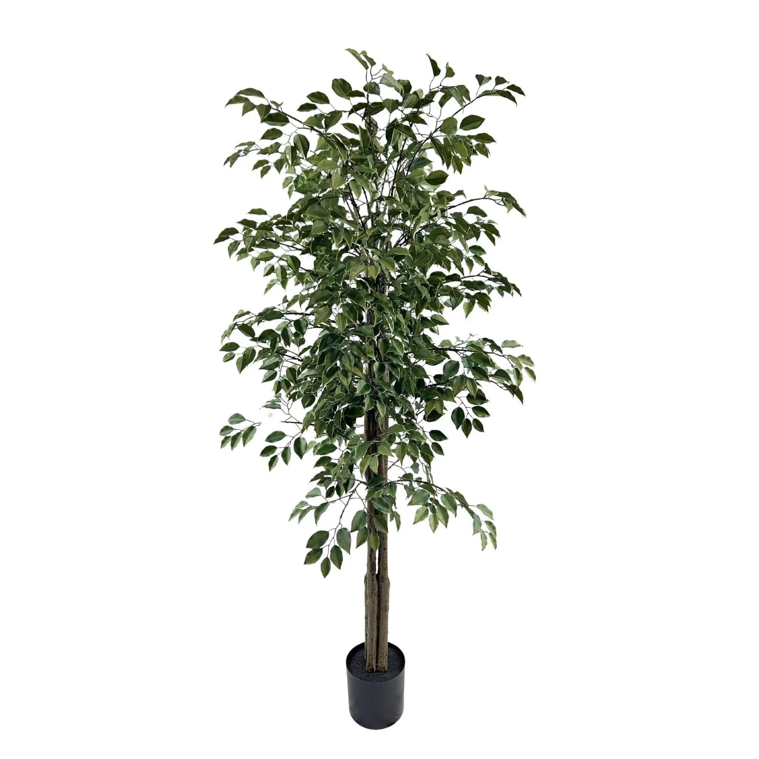 Very Beautiful Artificial Ficus Tree with UV Resistance 180cm - Designer Vertical Gardens Artificial Ficus artificial Ficus tree