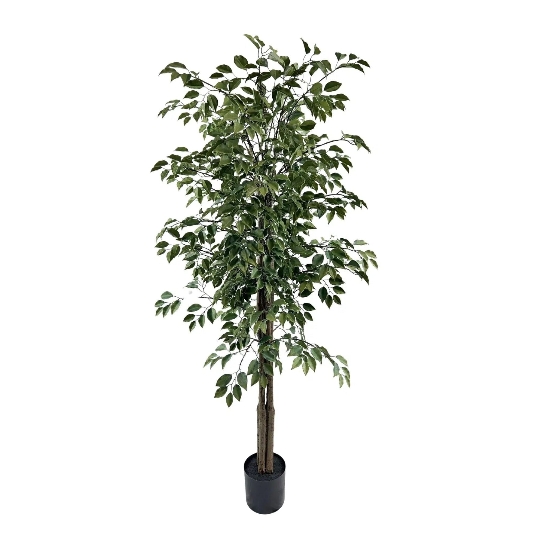 Very Beautiful Artificial Ficus Tree with UV Resistance 180cm - Designer Vertical Gardens Artificial Ficus artificial Ficus tree
