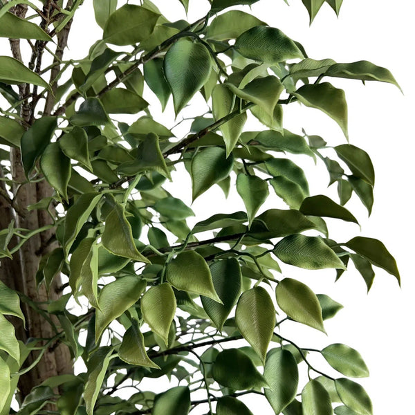 Artificial Ficus Tree 180cm - UV Resistant Premium Indoor/Outdoor Plant — gallery image 4