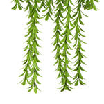 Artificial hanging greenery on a white background