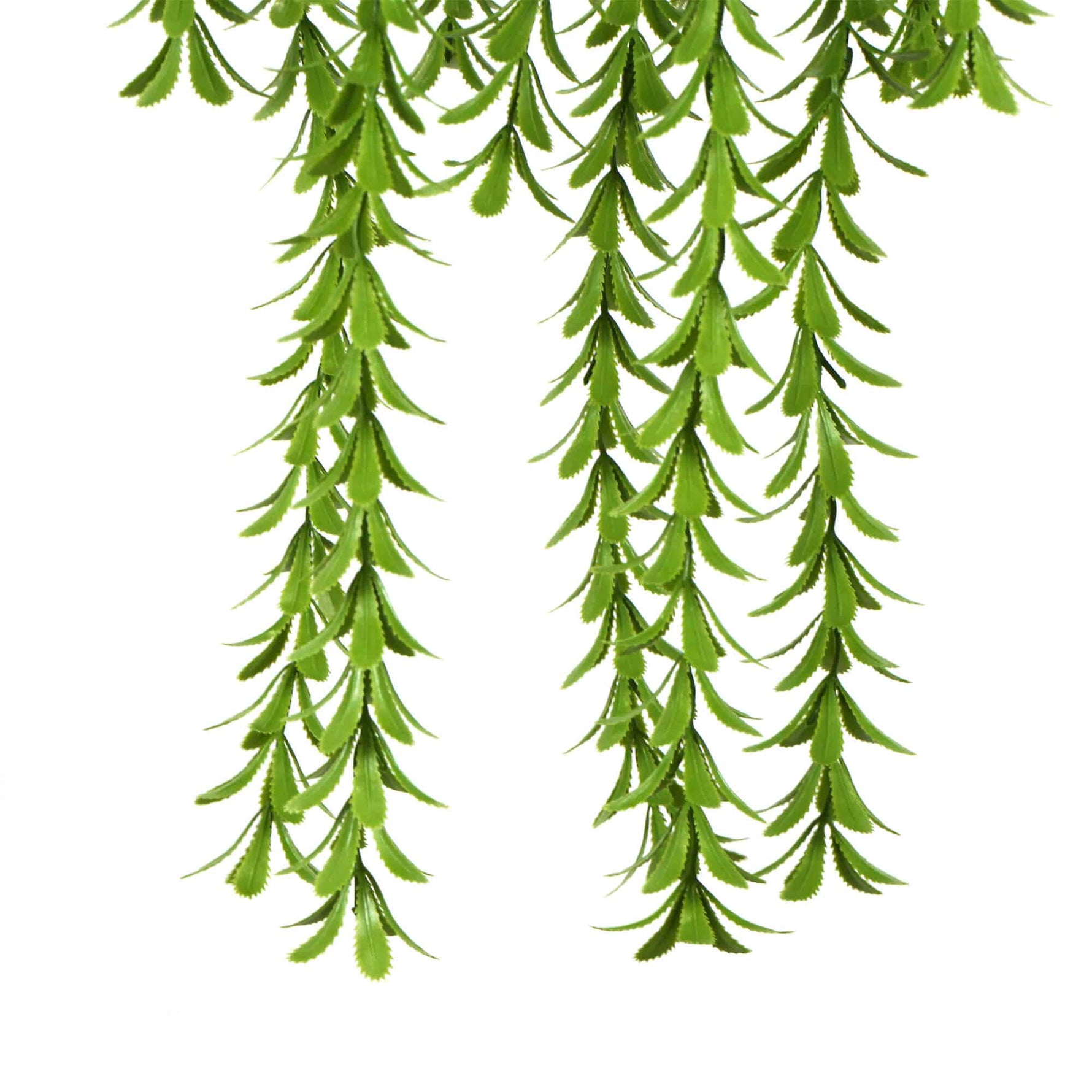 Artificial hanging greenery on a white background