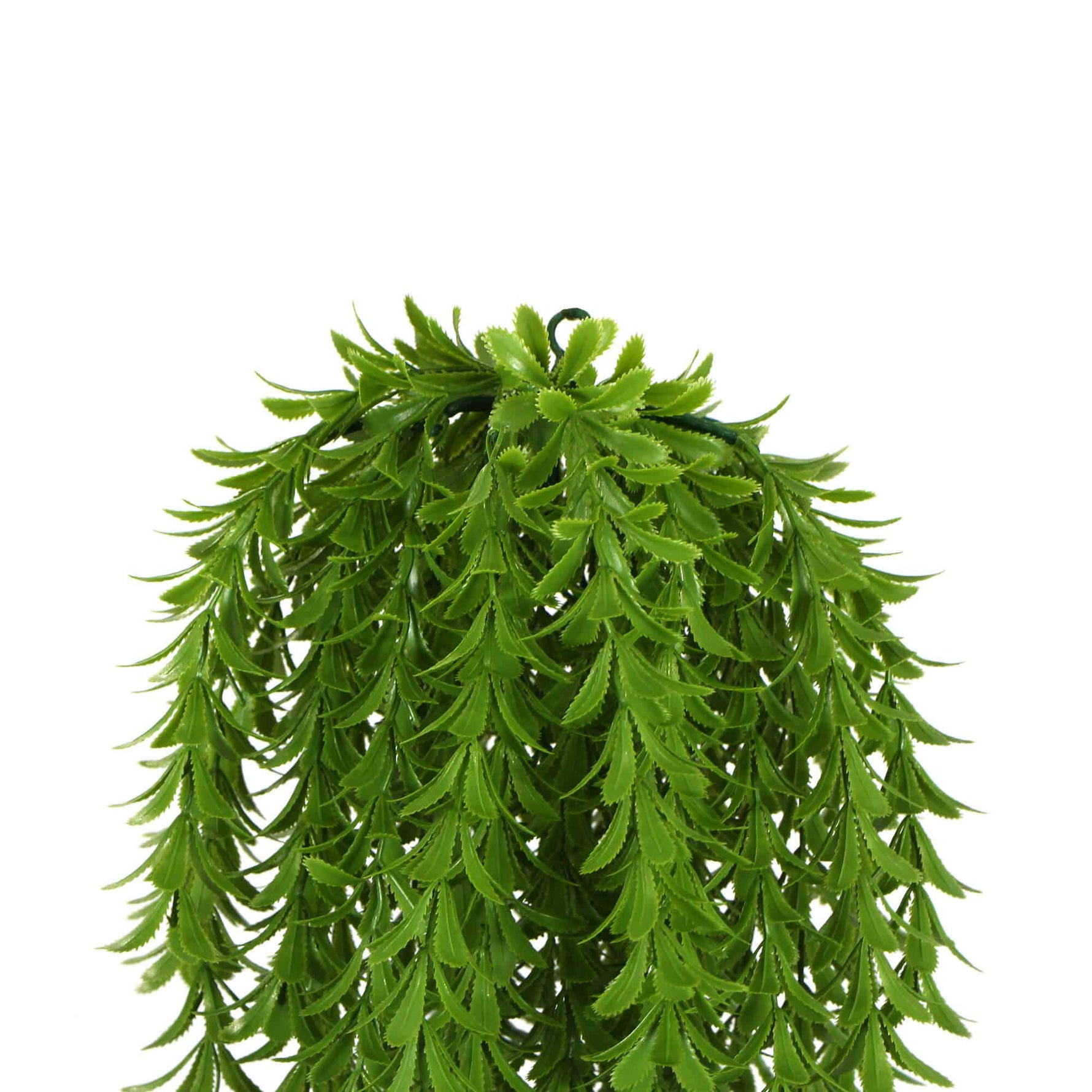 Artificial green hanging plant on a white background