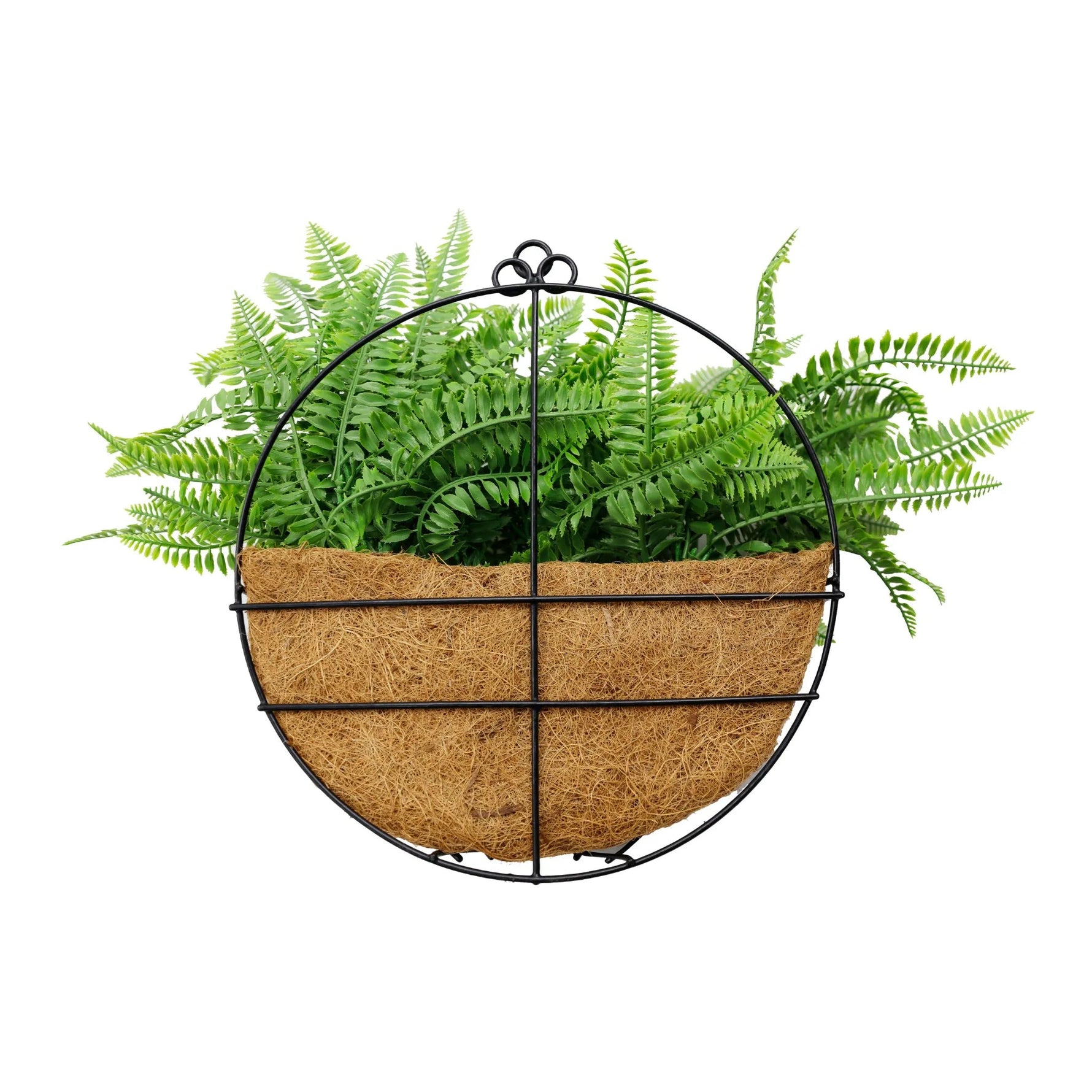 Round metal wall planter with green ferns on a white background