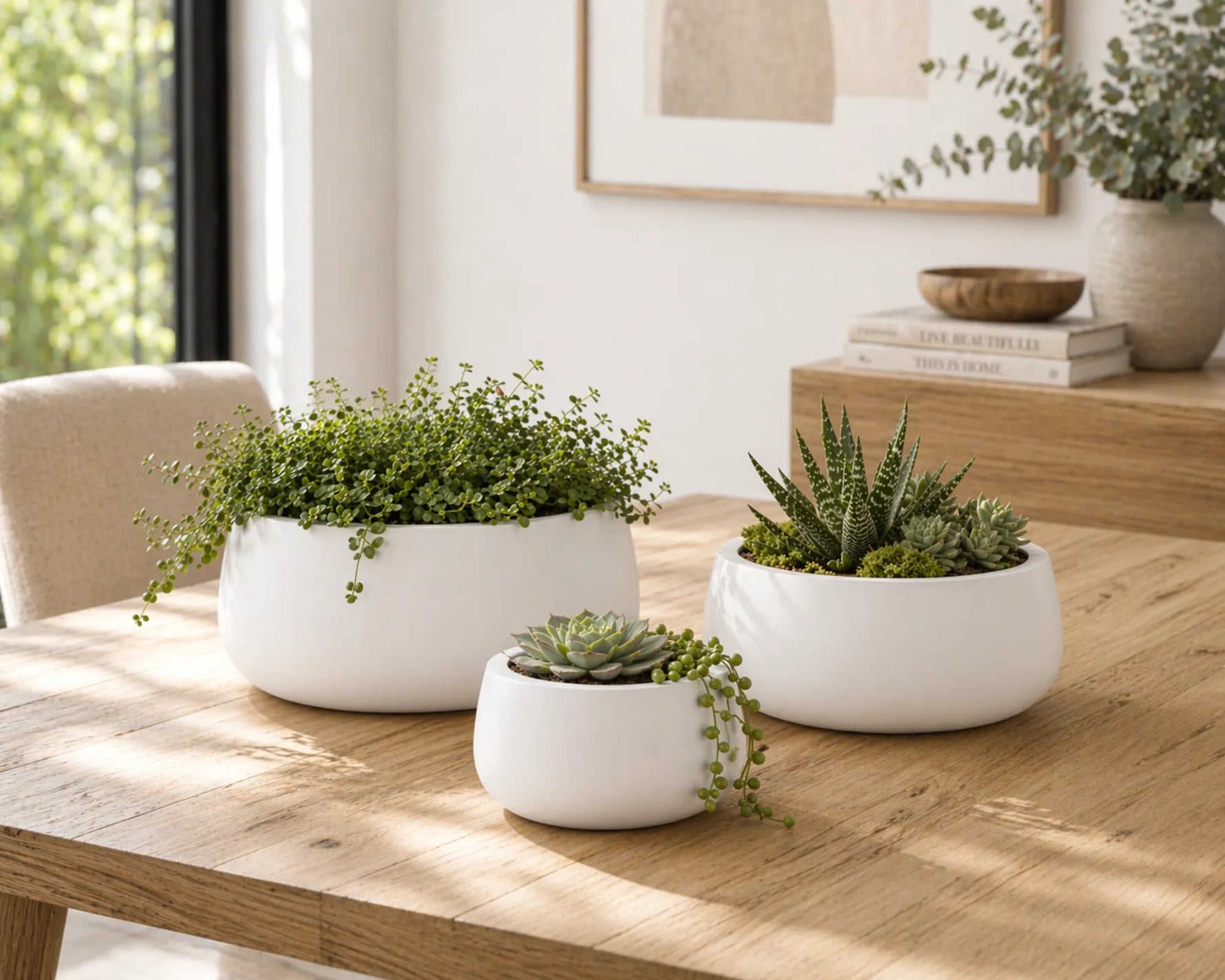 Three white planters with green plants on a wooden table in a bright room.