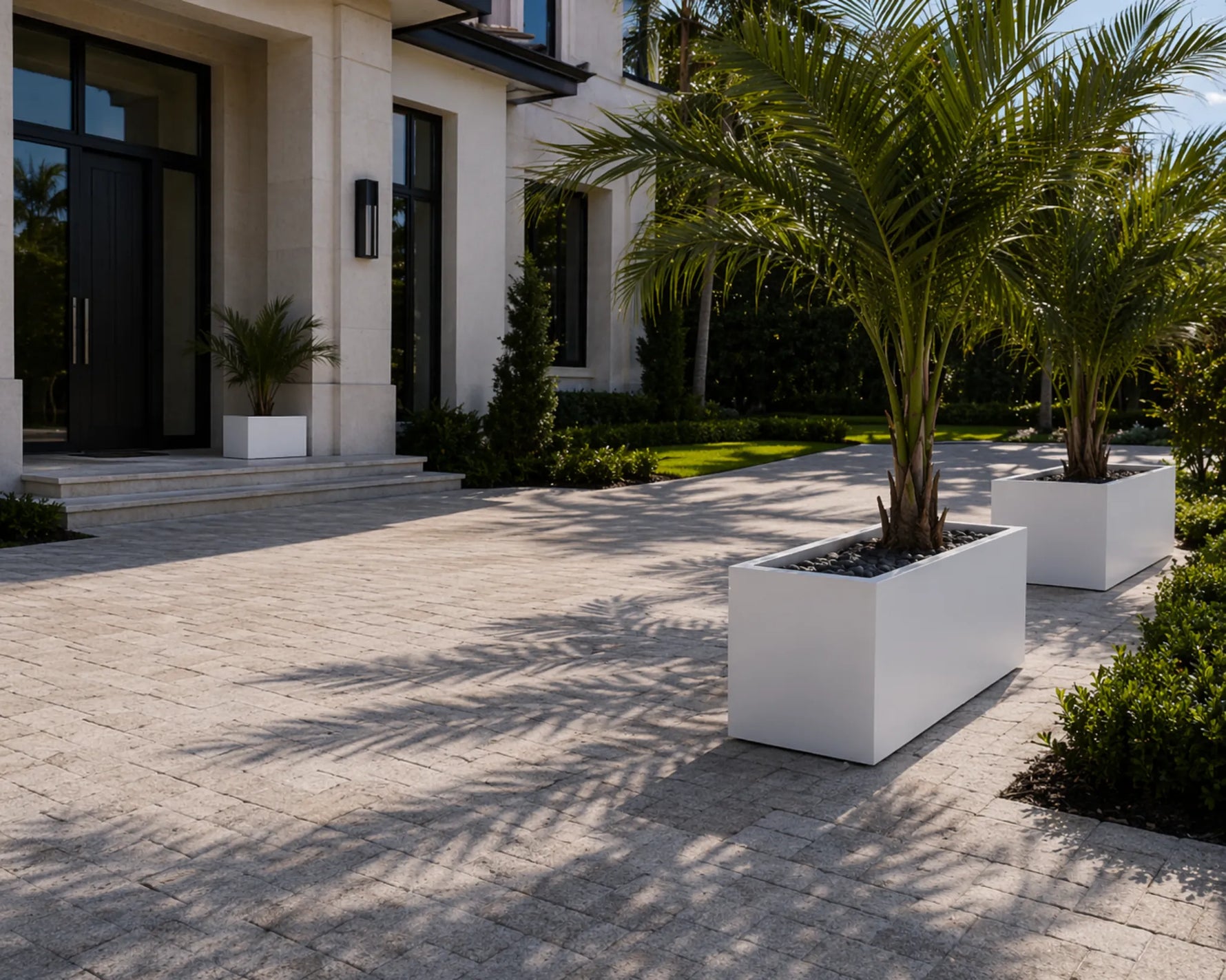 Modern house entrance with palm trees in white planters on a sunny day.