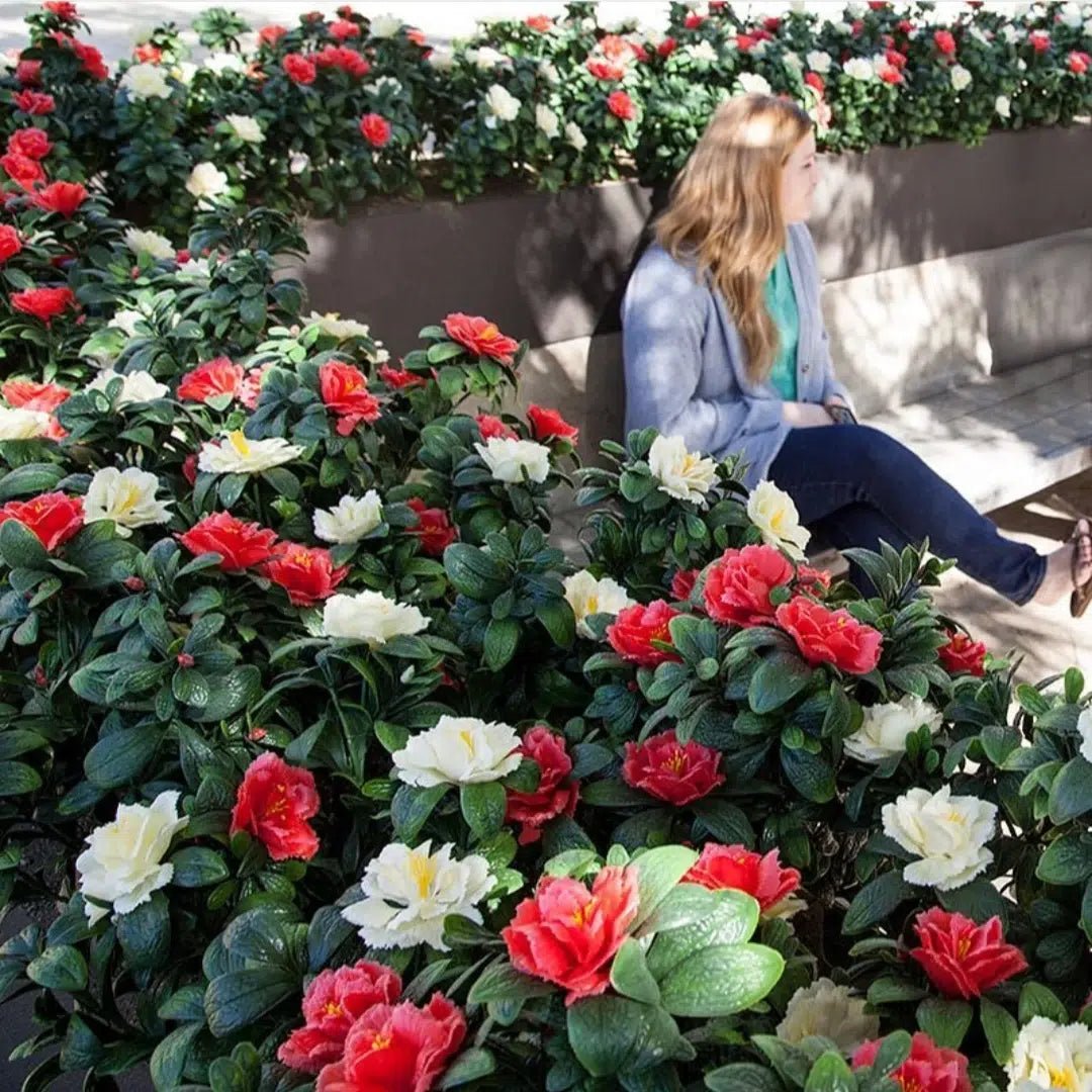 Woman sitting on a bench surrounded by red and white flowers