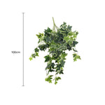 Artificial hanging ivy plant with dimensions on a white background